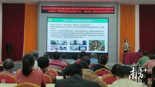 專家支招助力產業發展，茂南舉辦荔枝產業技術培訓班