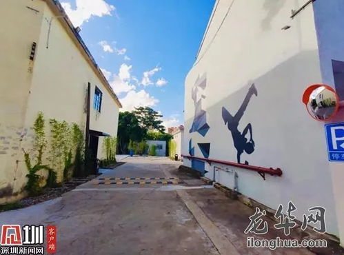 精進業(yè)務基石 現(xiàn)代網(wǎng)站建設的關鍵要素與實施策略